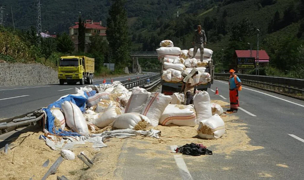 Saman Yüklü Kamyon Yola Devrildi: 1 Yaralı