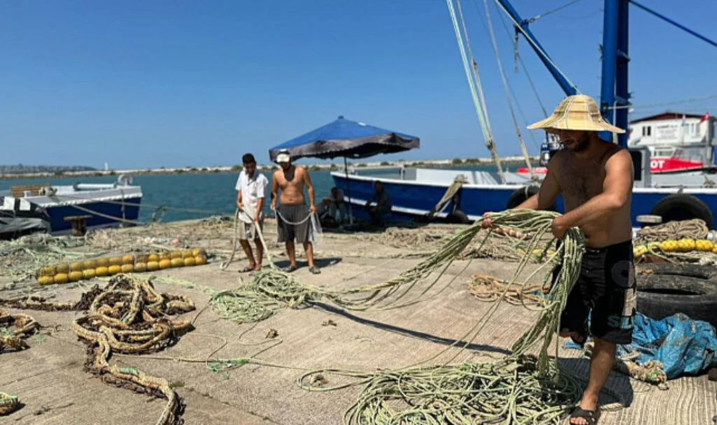 Samsun'da 'Bu Sene Denizde Mezgit ve Hamsi Var'