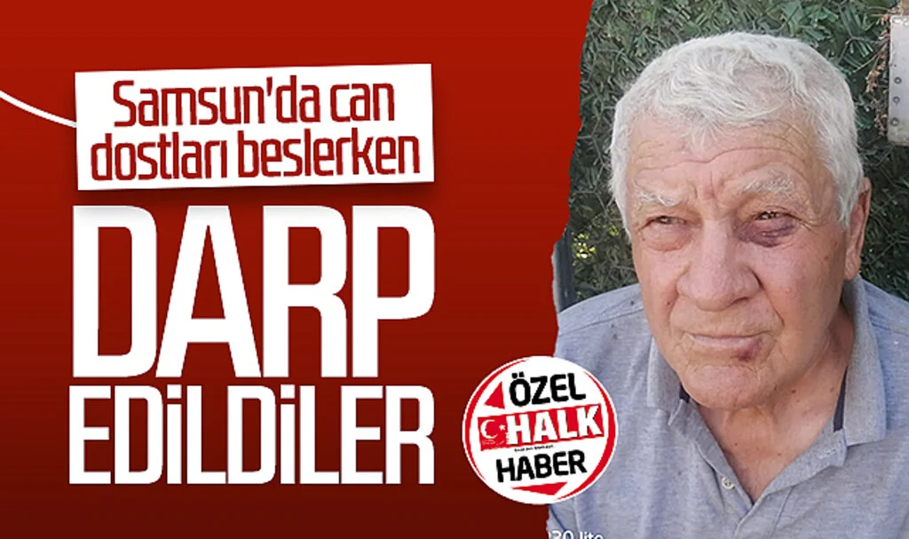 Samsun'da can dostları beslerken darp edildiler