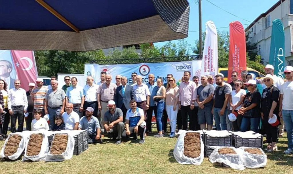 Samsun'da Çilek Üreticisine 750 Bin Fide Desteği