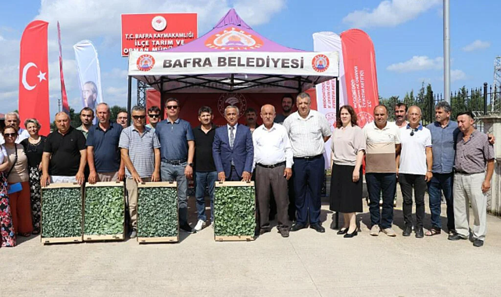 Samsun'da İhracata Uygun Sebze Üretimi İçin 240 Bin Fide Dağıtıldı