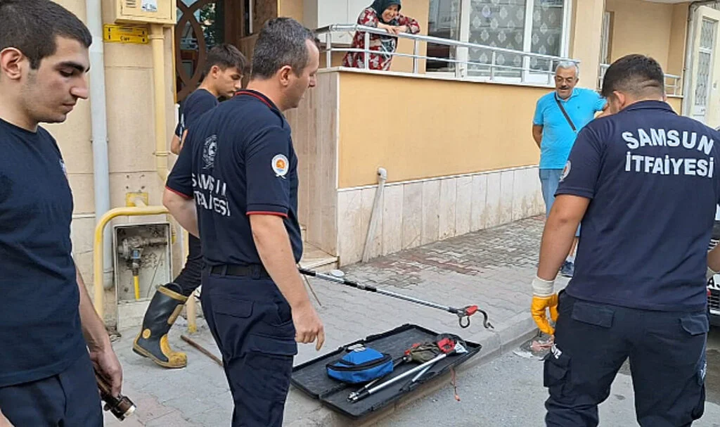 Samsun'da İtfaiye Ekipleri Yılanı Sıkıştığı Yerden Kurtardı