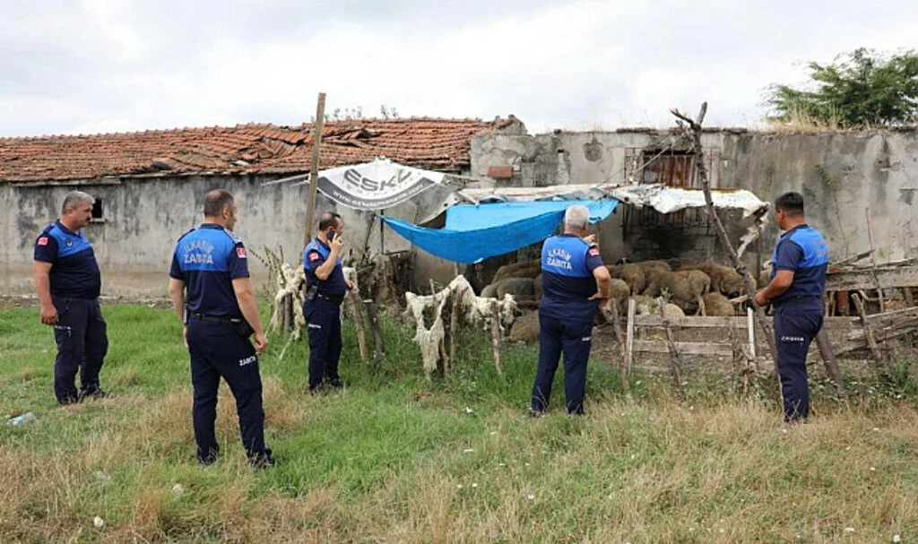 Samsun’da Uyarı Yapılan 12 Ahırın Faaliyetine Son