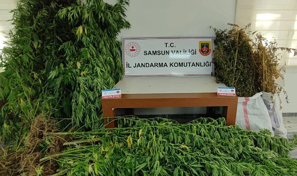 Samsun'da uyuşturucu operasyonunda iki şüpheli yakalandı