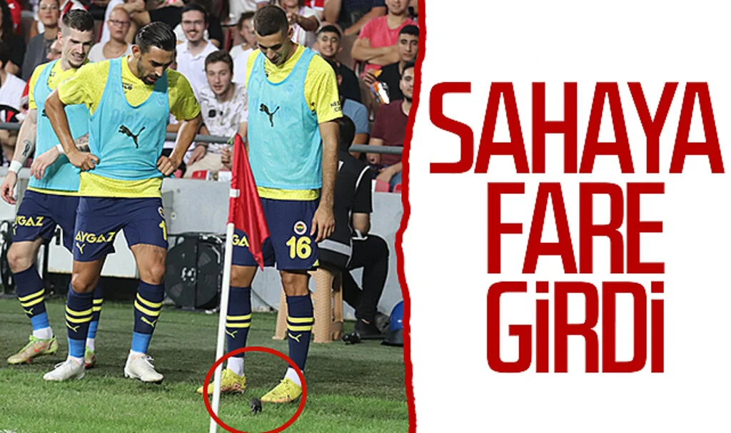 Samsunspor - Fenerbahçe maçında sahaya fare girdi