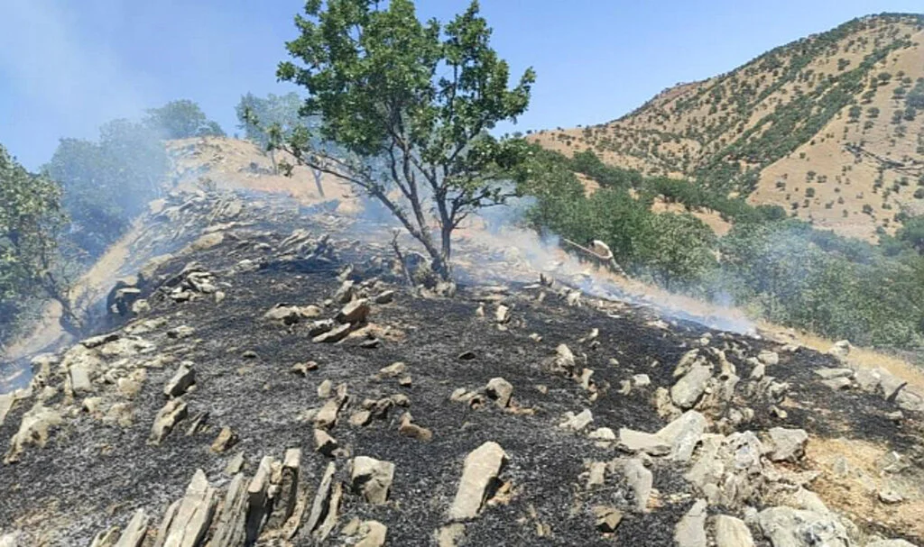 Siirt'te Ormanlık Alanda Çıkan Yangın Korkuttu