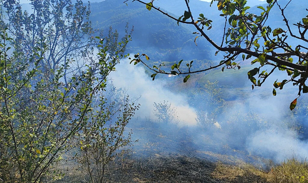 Sinop'ta Anız Yangını Korkuttu   