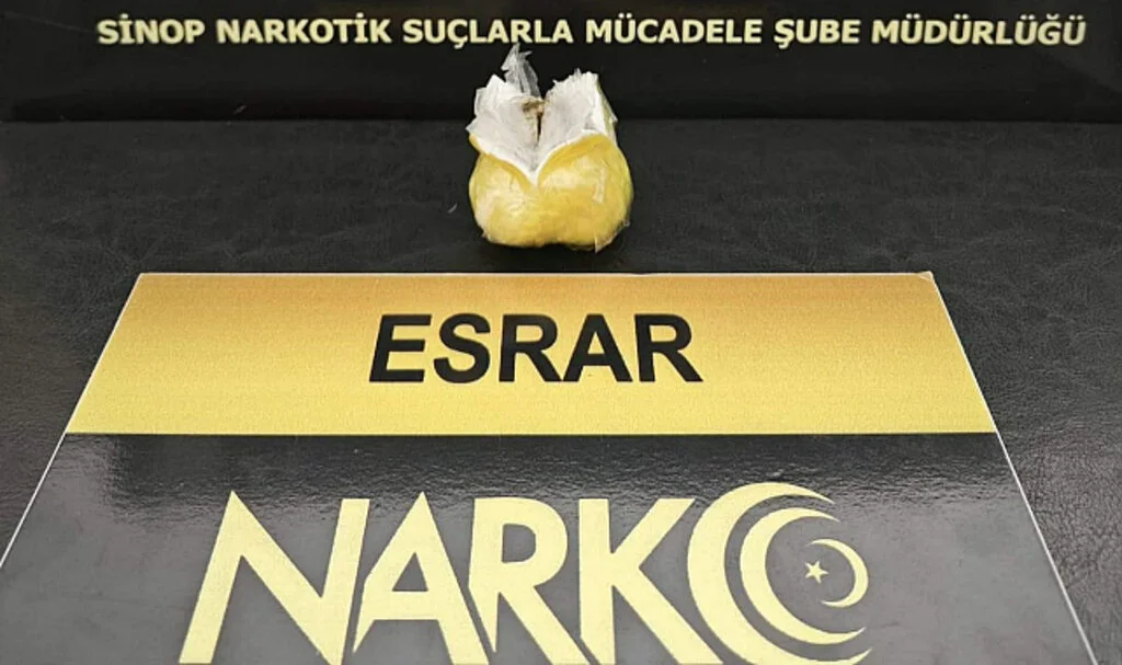Sinop’ta Narkotik Avladı 
