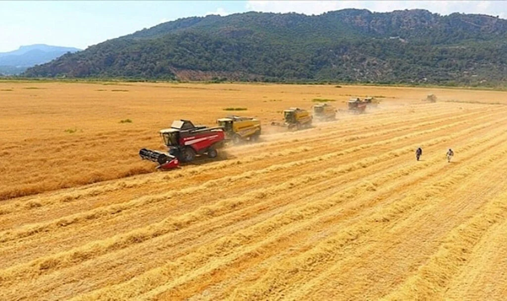 Tarımda Üretici Enflasyonu Temmuzda Sert Yükseldi