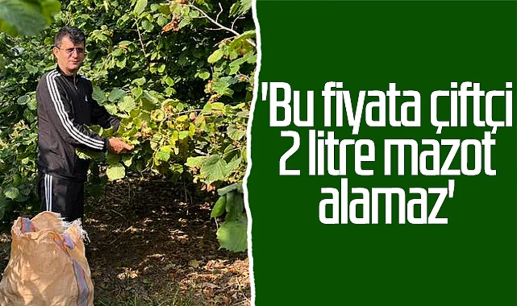 Terme Ziraat Odası Başkanı Ferda Ergün: 'Bu fiyata çiftçi 2 litre mazot alamaz'