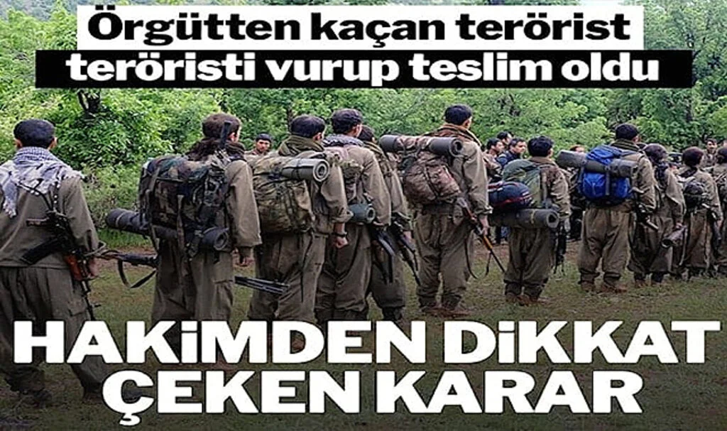 Terörist Teröristi Öldürdü, Mahkemeden İlginç Karar