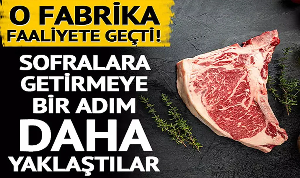 Ülkede O Fabrika Faaliyete Geçti! Yapay Eti Sofralara Getirmeye bir adım daha yaklaştılar
