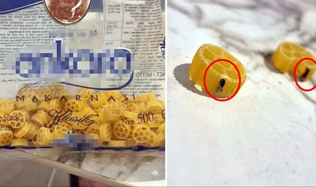 Ünlü Markanın Makarnasından Böcek Çıktı