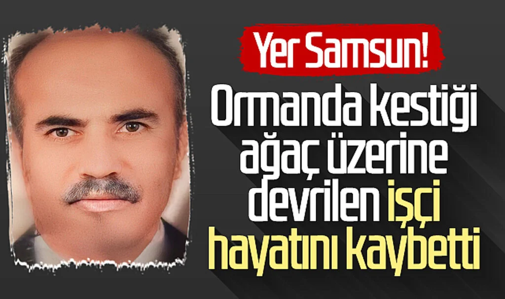 Yer Samsun! Ormanda kestiği ağaç üzerine devrilen işçi hayatını kaybetti