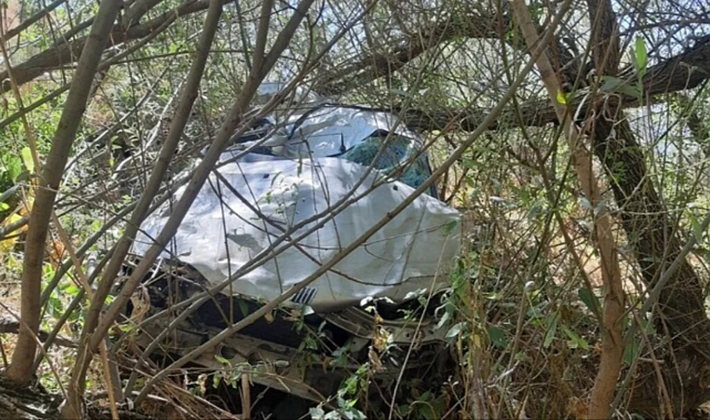 Yola Atlayan Başıboş Köpek Kazaya Neden Oldu: 4 Ölü, 3 Yaralı