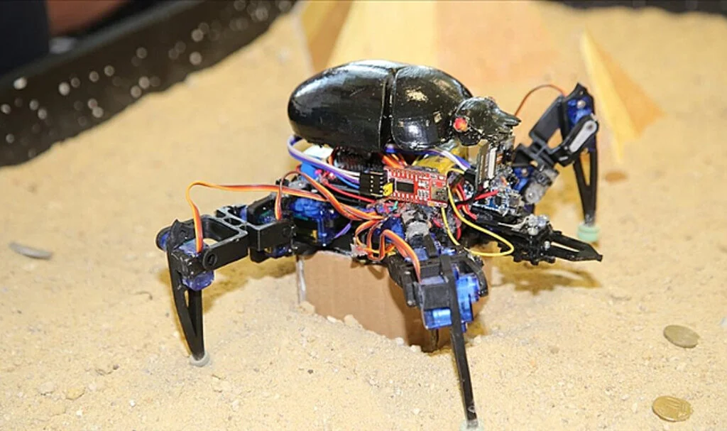15. Uluslararası MEB Robot Yarışması Başlıyor