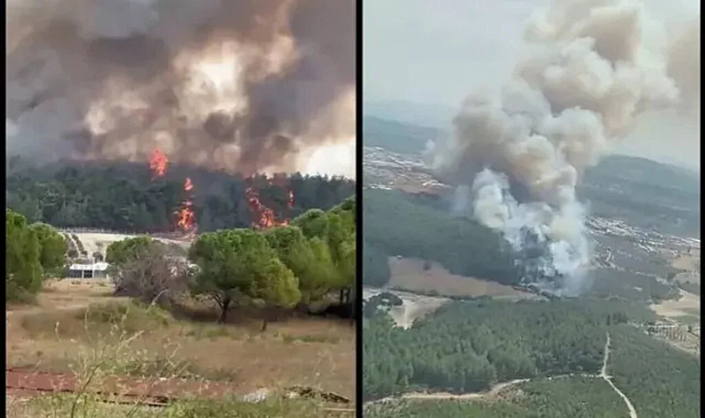 Alevlerle Havadan ve Karadan Mücadele! İzmir'de Orman Yangını Çıktı
