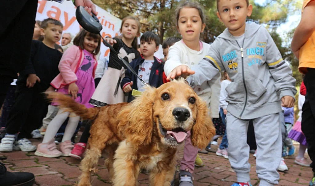 Canik'ten 'can dostlar' için farkındalık yarışması