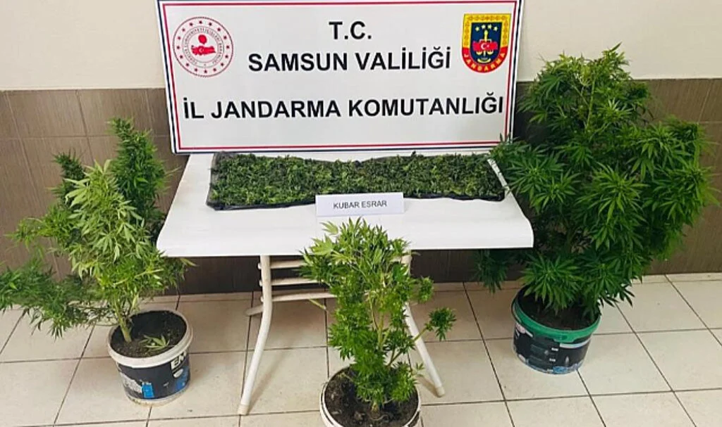 Çarşamba’da Uyuşturucu Operasyonu: 1 Tutuklama