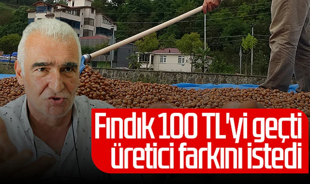Fındık 100 TL'yi geçti üretici farkını istedi