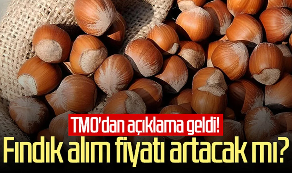 Fındık alım fiyatı artacak mı? TMO'dan açıklama geldi!