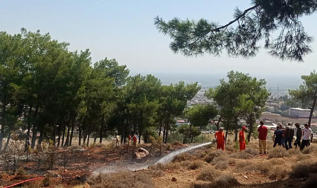 Hatay’da Ormanlık Alanda Örtü Yangını