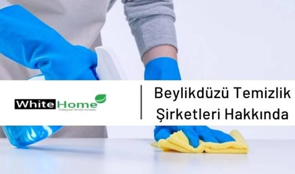 İstanbul Kaliteli Temizlik Şirketlerinin Hizmetleri