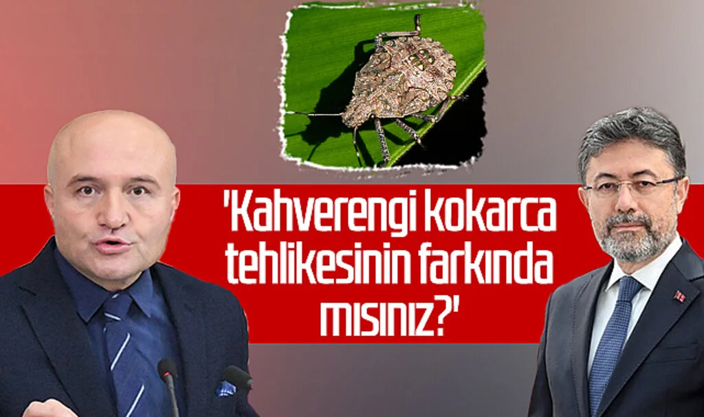İYİ Parti'li Erhan Usta sordu! 'Kahverengi kokarca tehlikesinin farkında mısınız?'