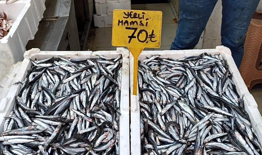 Karadeniz’de Balıkçı Tezgahının Bu Sezonki Starı 'Hamsi'