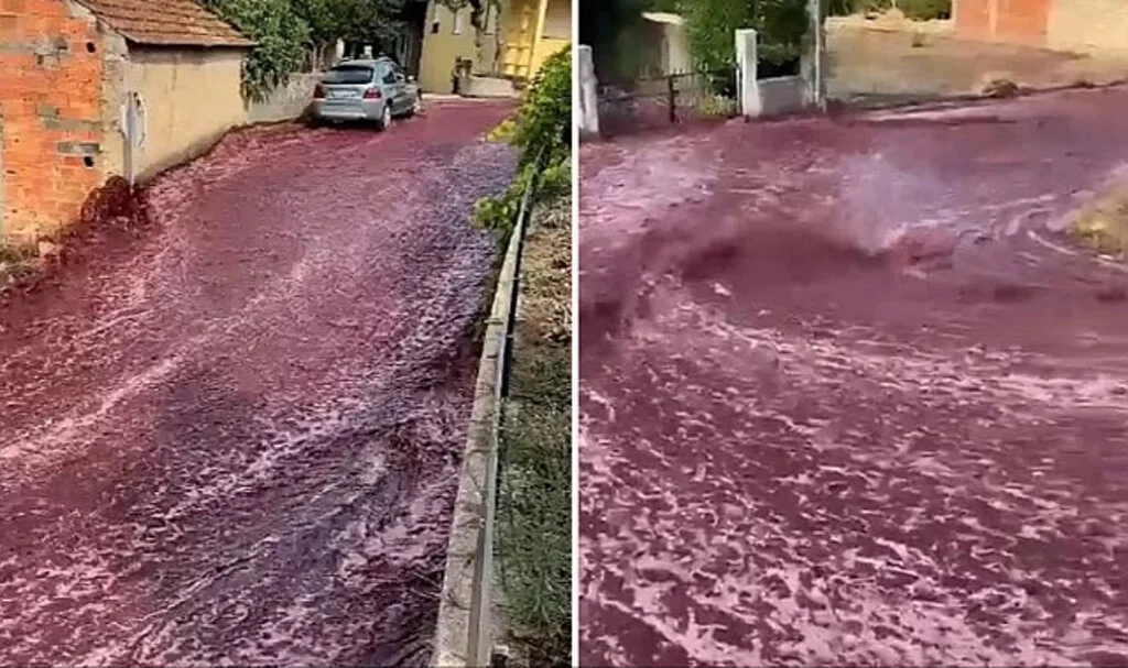Porketiz'de Şarap Üretim Tesisindeki İki Tankın Çökmesi Sonucu 2.2 Milyon Litre Şarap Sokakları Şarap Nehrine Çevirdi