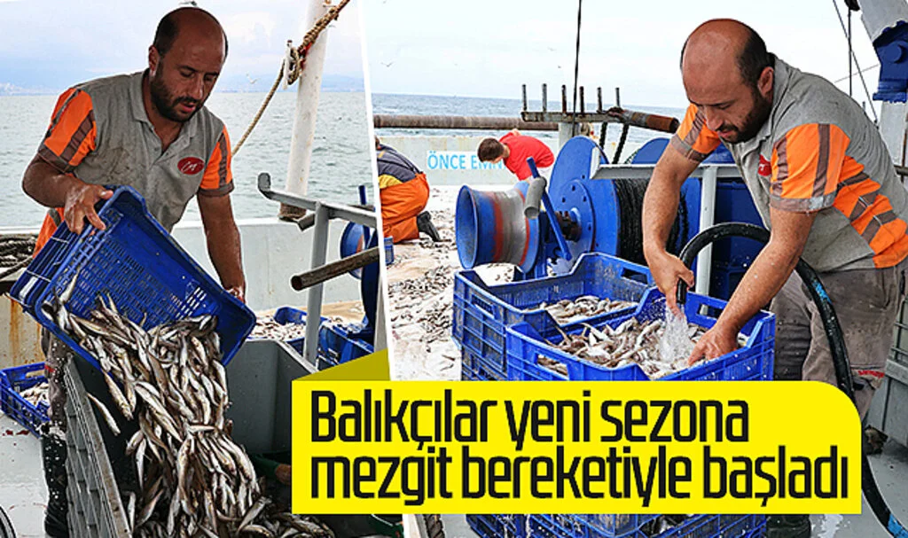 Samsun'da balıkçılar yeni sezona mezgit bereketiyle başladı
