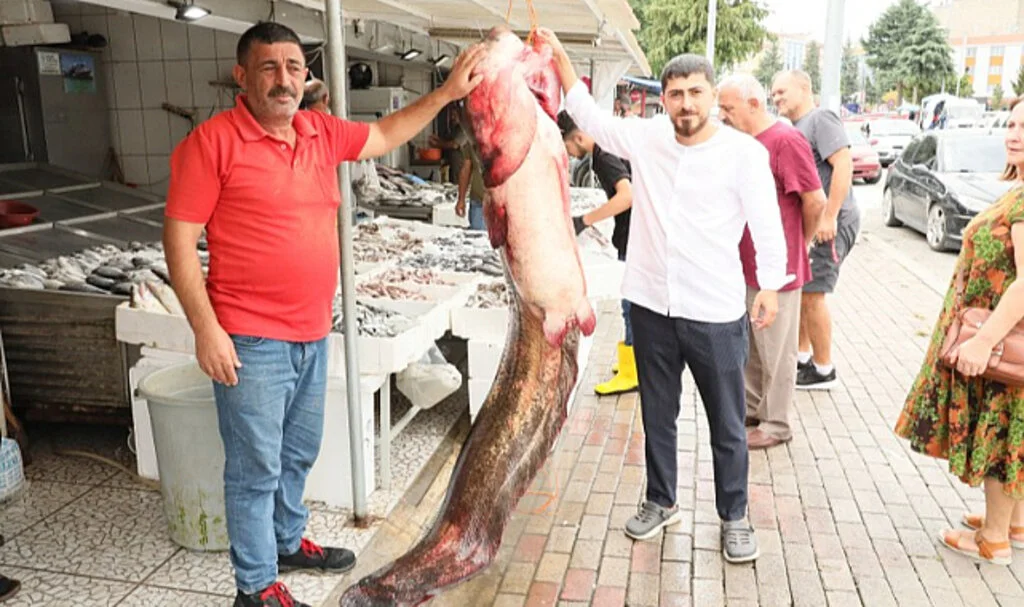 Samsun'da baraj gölünden 94 kiloluk yayın balığı çıktı 