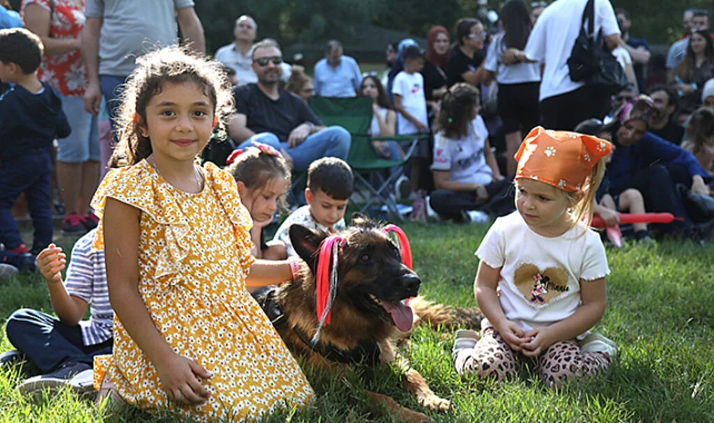 Samsun'da Evcil Kedi ve Köpek Kostüm Yarışması 