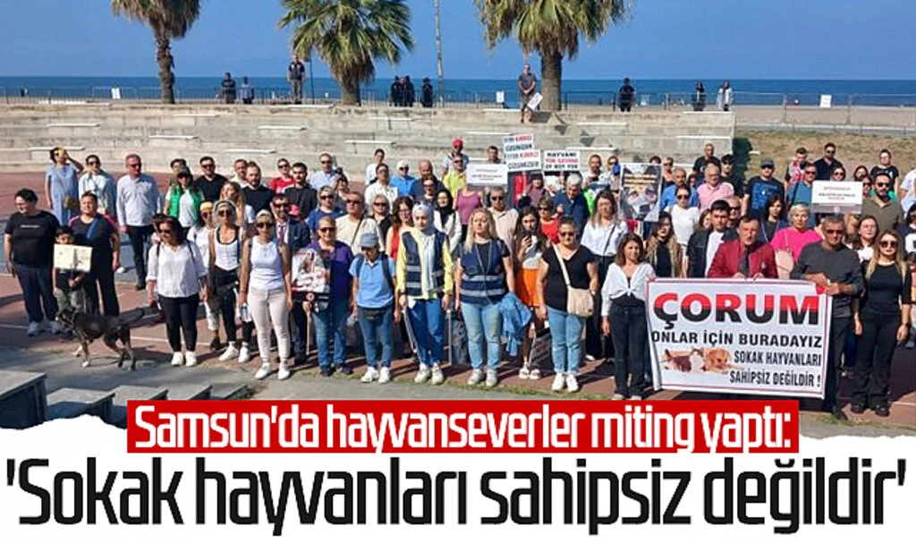 Samsun'da hayvanseverler miting yaptı: 'Sokak hayvanları sahipsiz değildir' 