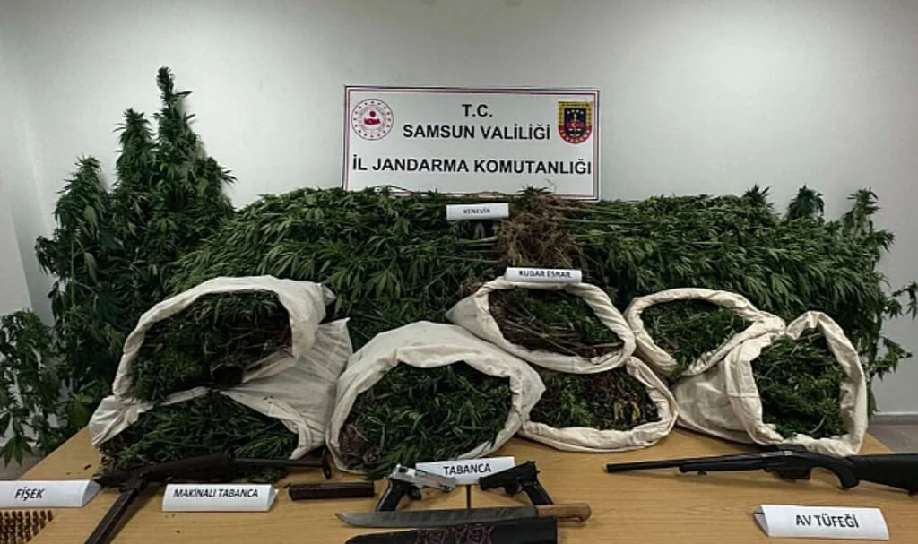 Samsun'da jandarma 33 kilo kubar esrar ele geçirdi: 2 gözaltı