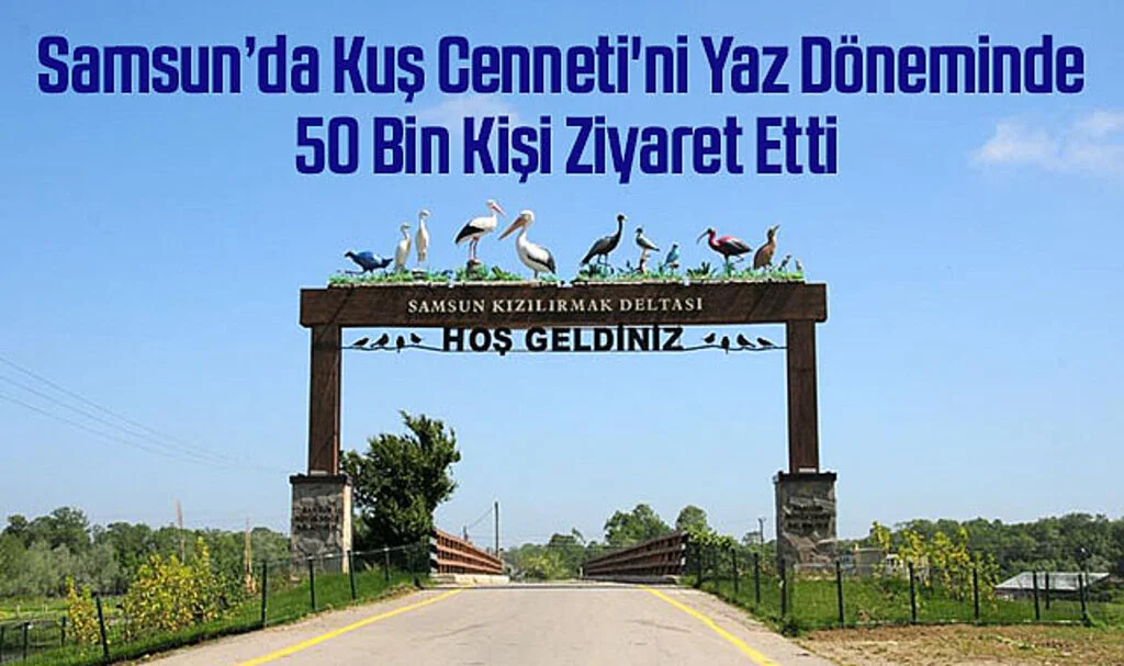 Samsun’da Kuş Cenneti'ni Yaz Döneminde 50 Bin Kişi Ziyaret Etti