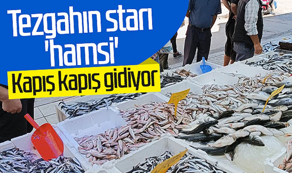 Samsun'da tezgahın starı 'hamsi'! Kapış kapış gidiyor...