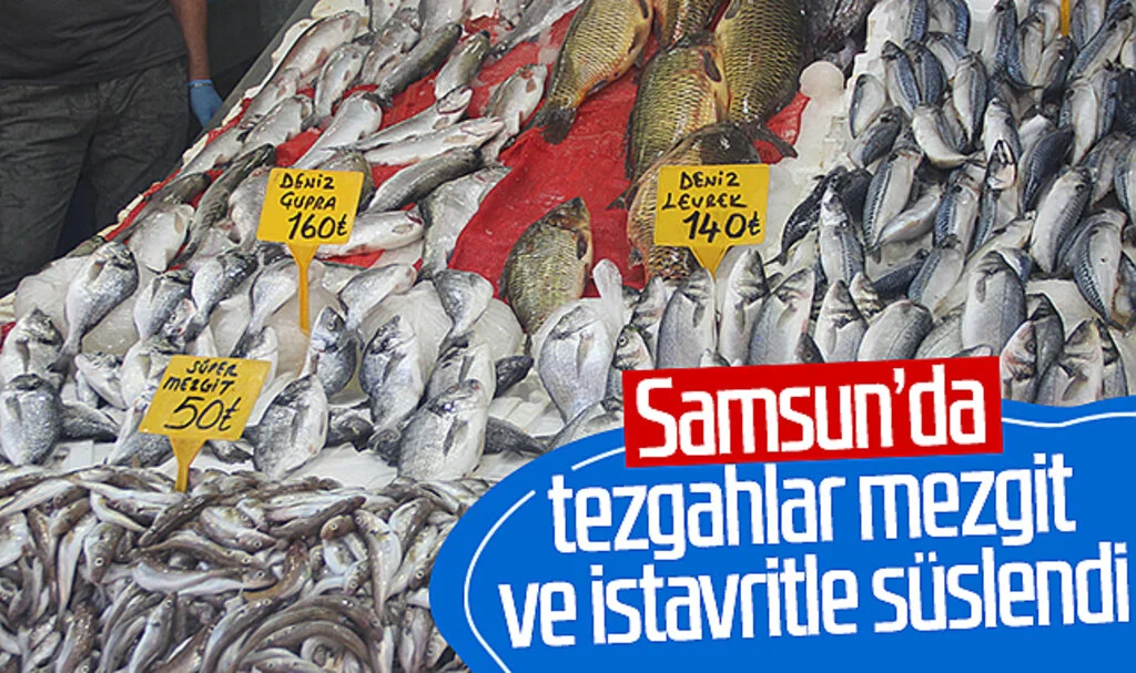 Samsun'da tezgahlar mezgit ve istavritle süslendi