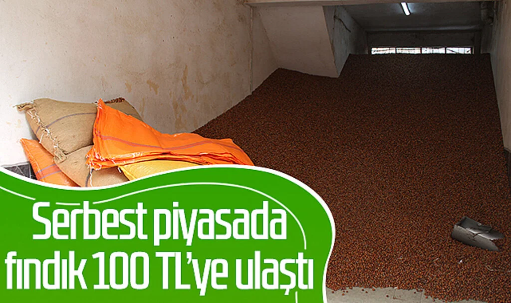 Serbest piyasada fındık 100 TL'ye ulaştı