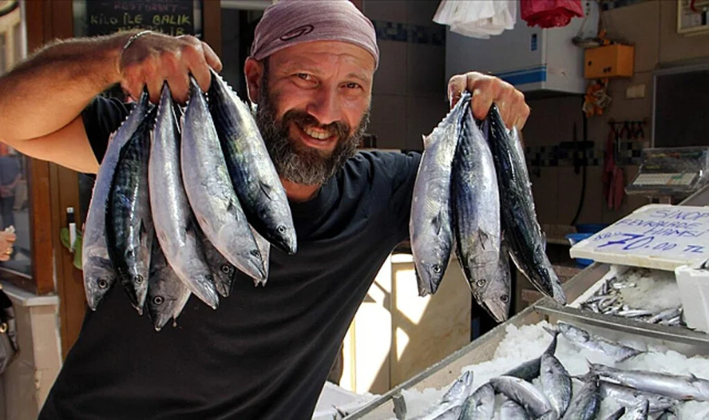 Sinop'ta Palamut Ağlara Takıldı