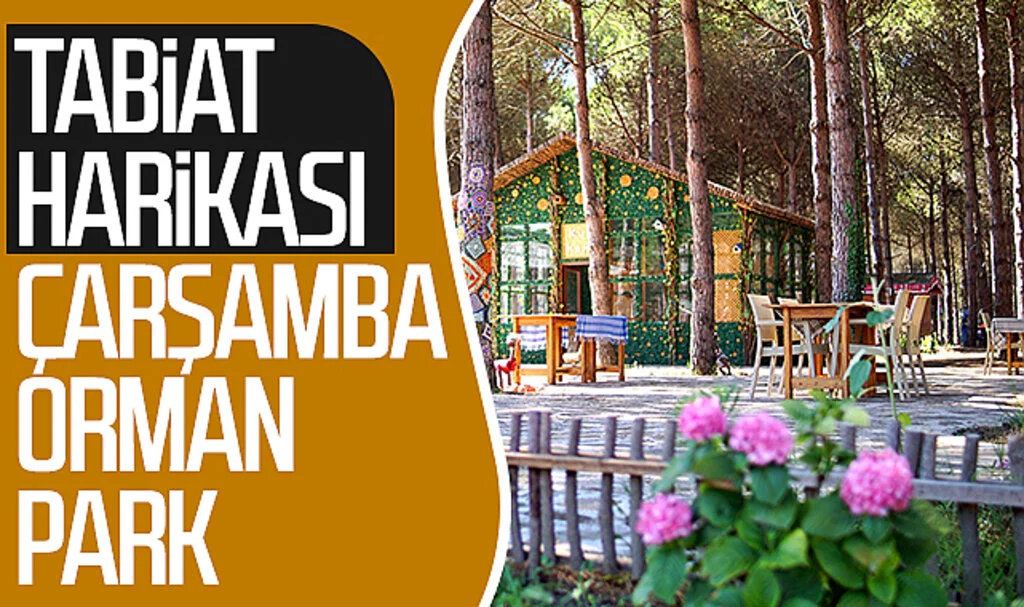 Tabiat harikası Çarşamba Orman Park