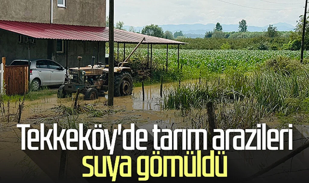 Tekkeköy'de tarım arazileri suya gömüldü