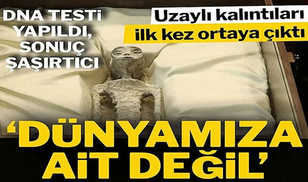 Uzaylı Kalıntısını İlk Kez Gösterdiler: 1000 Yaşında Oldukları Tahmin Ediliyor