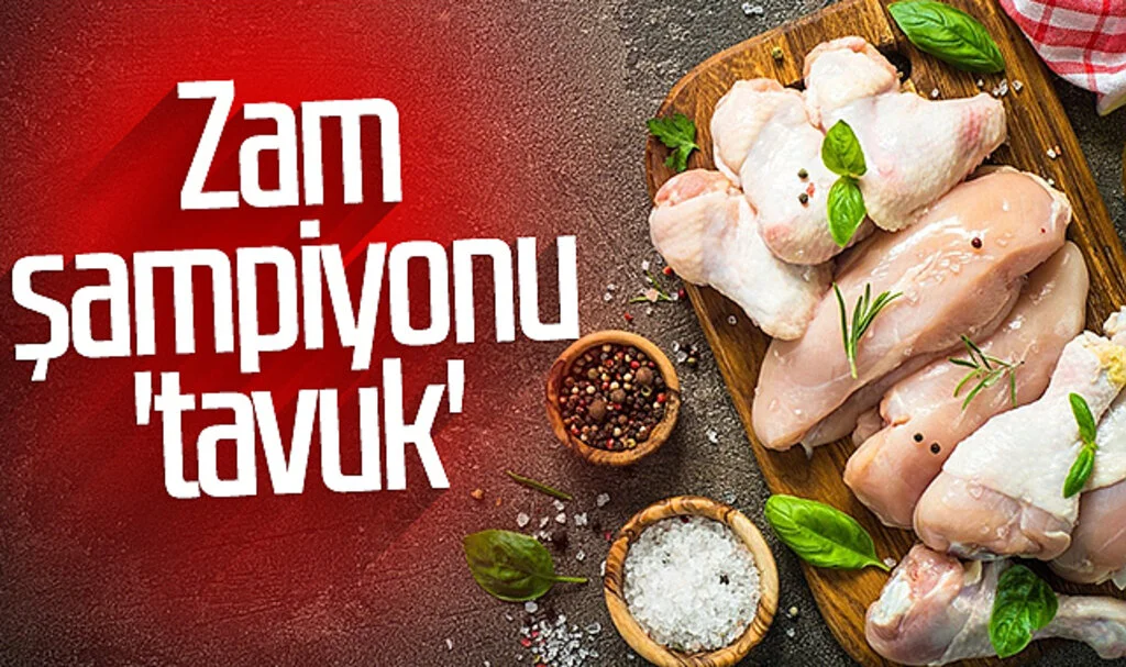 Zam şampiyonu 'tavuk'