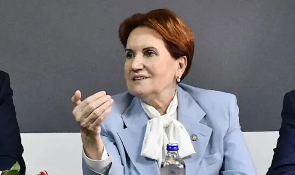 Akşener’den Erdoğan’a miting tepkisi: Keşke hepimizi…