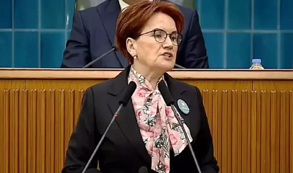 Akşener kürsüden "Hodri meydan" diye seslendi: 'Gelin beni de tutuklayın da görelim!'