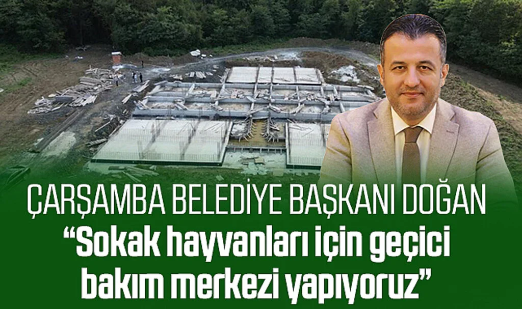 Çarşamba Belediye Başkanı Doğan: "Sokak hayvanları için geçici bakım merkezi yapıyoruz"