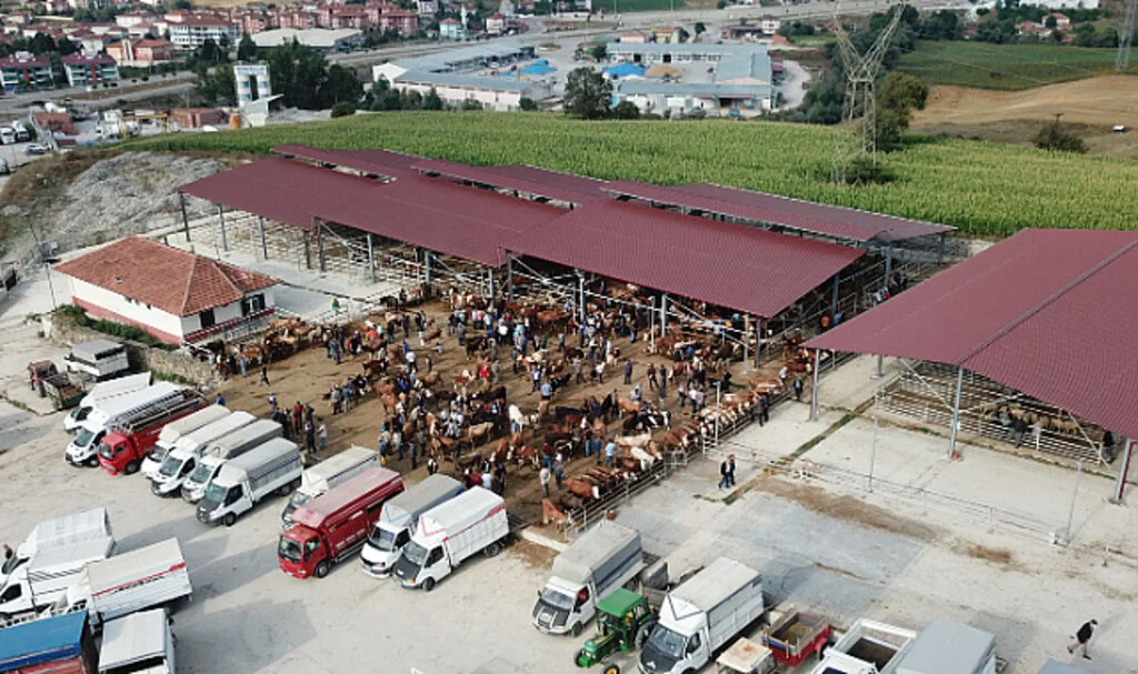 Havza'da canlı hayvan pazarı yeniden açılacak
