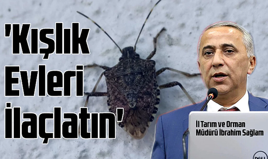 İl Tarım ve Orman Müdürü İbrahim Sağlam: 'Kışlık Evleri İlaçlatın'