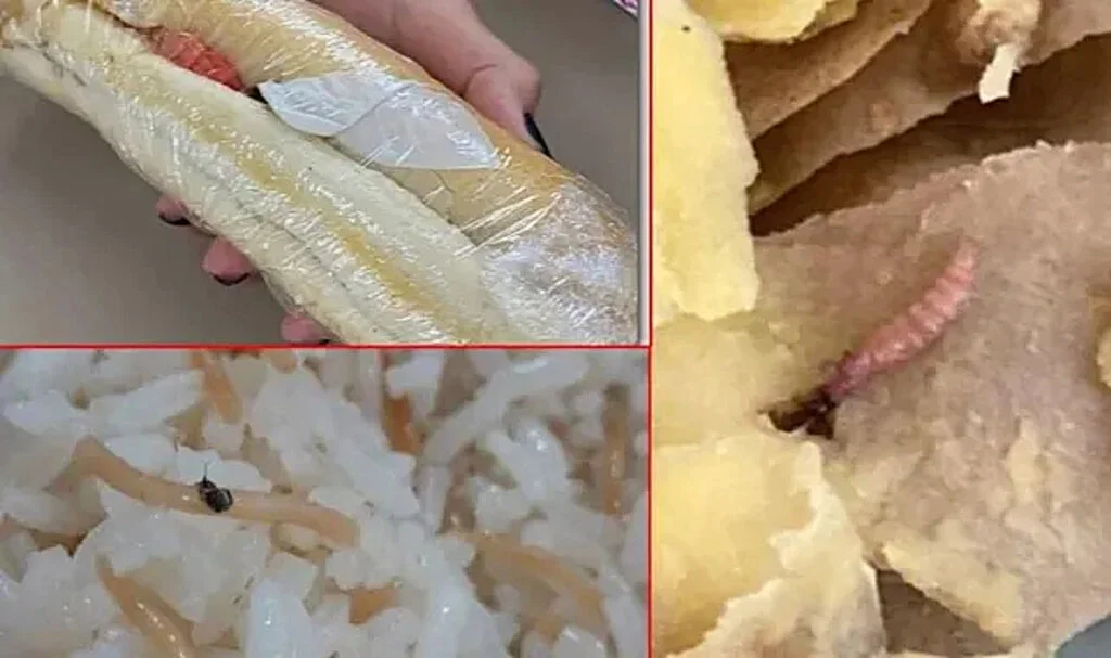 Öğrencinin yemeğinde ‘yok’ yok! Böcek, kurt, eldiven parçası…